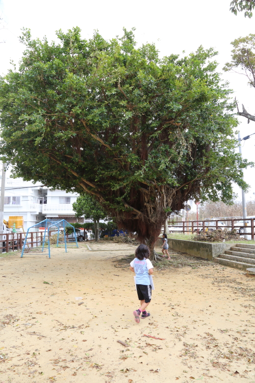 20121005_08.jpg