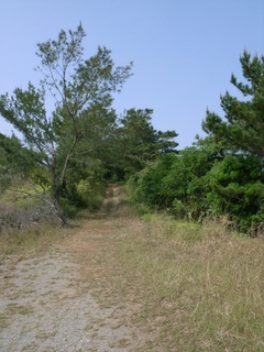 henoko02.jpg