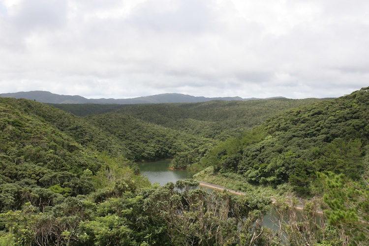 takae_001.jpg