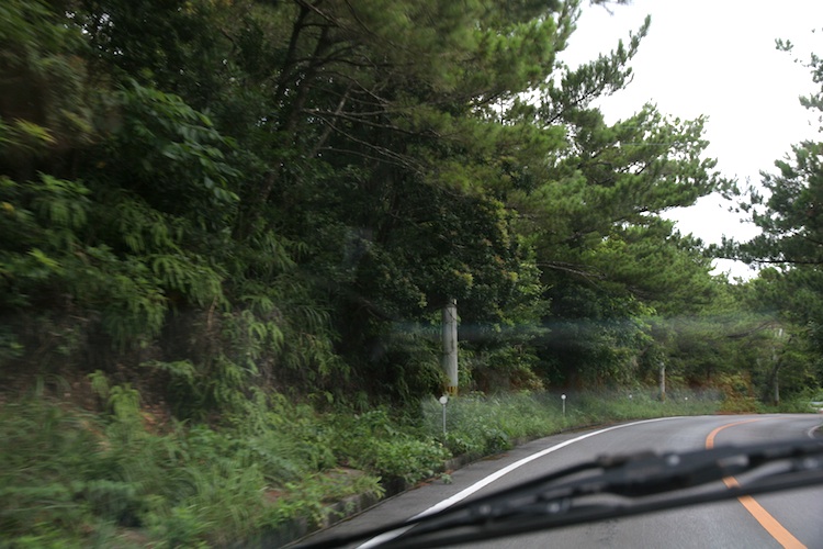 takae_011.jpg